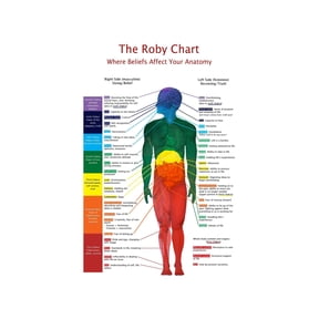 Body Systems Chart Metal Sign Human Anatomy Science Medical Reference Educational Wall Decor For Home Study or Classroom 12x8 Inch