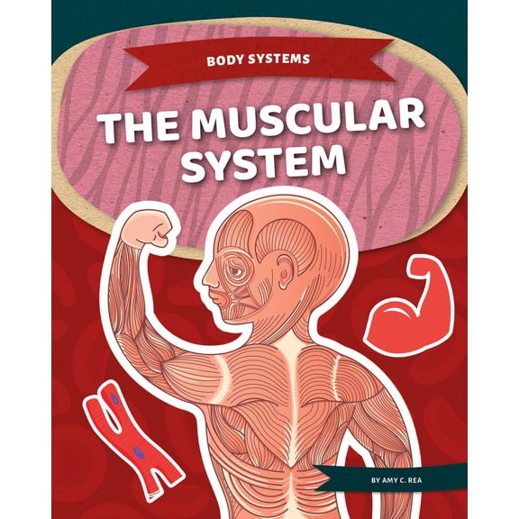 Body Systems Muscular System, (Hardcover)