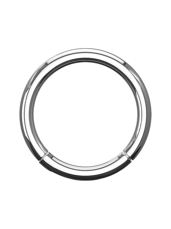 BodyJewelryOnline 16G 18G 20G Hoop Ring Implant Grade Titanium Hinged Segment Rings Men Women
