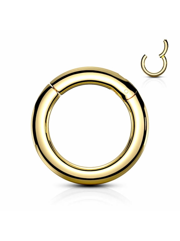 Surgical Steel 2G-00G Hinged Clicker Segment Rings Body Piercing Jewelry Sold Each