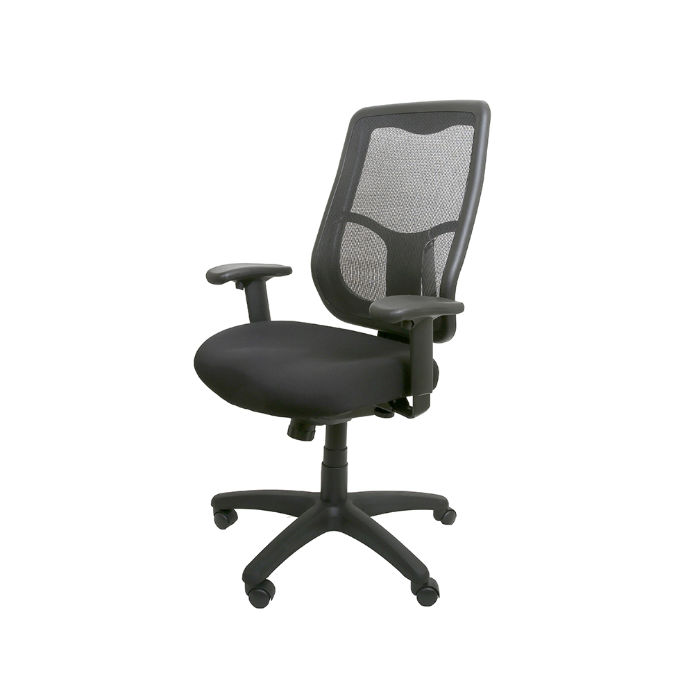 BodyMed Adjustable Ergonomic Office Chair with TempurPedic® Foam