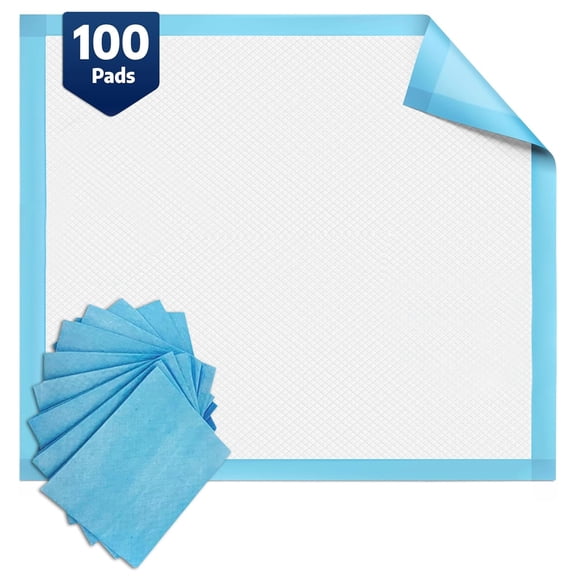 BodyMed Disposable Chucks Incontinence Underpads, 30 in. x 30 in., 100 Pads, High Absorbency  Discreet, Breathable, and Lightweight  Ideal for Adults, Kids, Elderly, and Pets