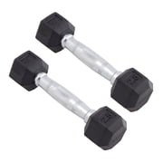 Body Sport Rubber Encased Hex Dumbbell - Set of Two - Black/Metal - 2.5 Pounds