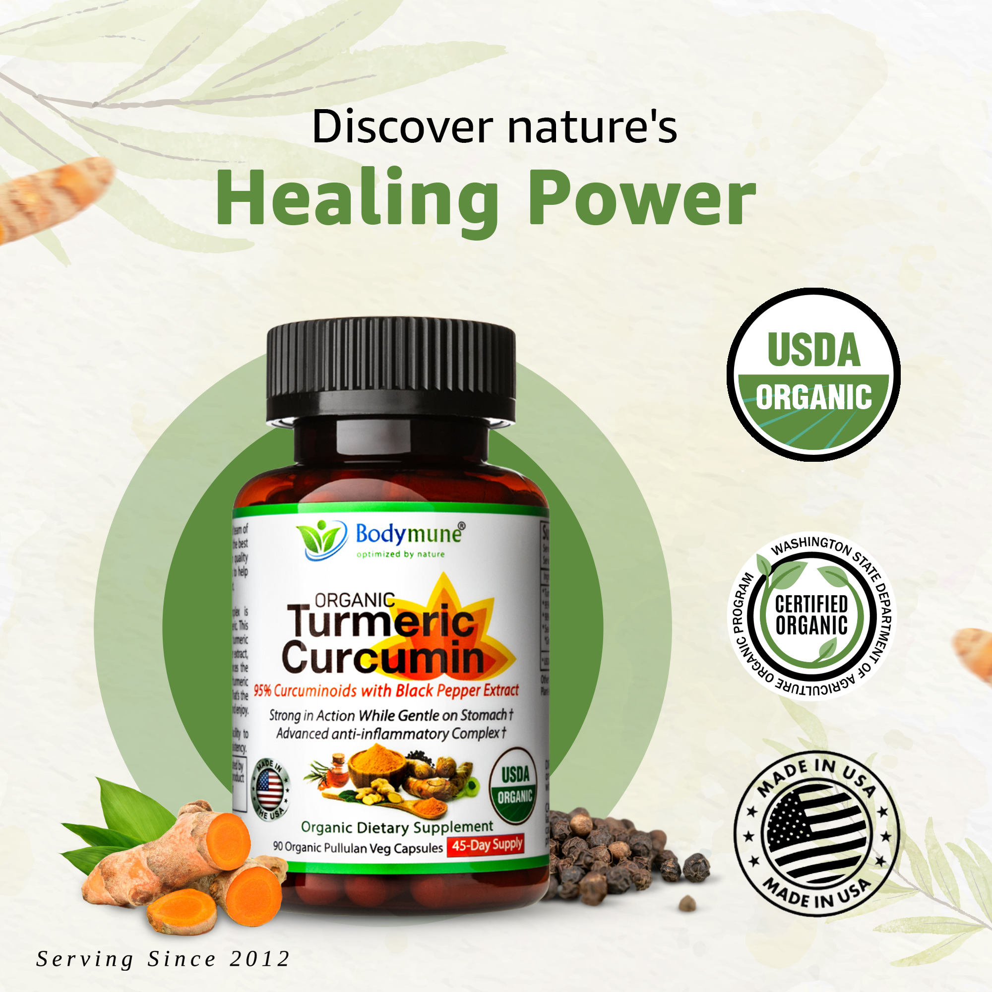 Bodymune Organic Turmeric Curcumin for Sensitive Stomach 45Day