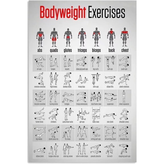 Bodyweight Exercises Infographic Metal Sign Fitness Knowledge Posters For Gym Man Home Club Room Wall Decor Plaque 8x12 inches