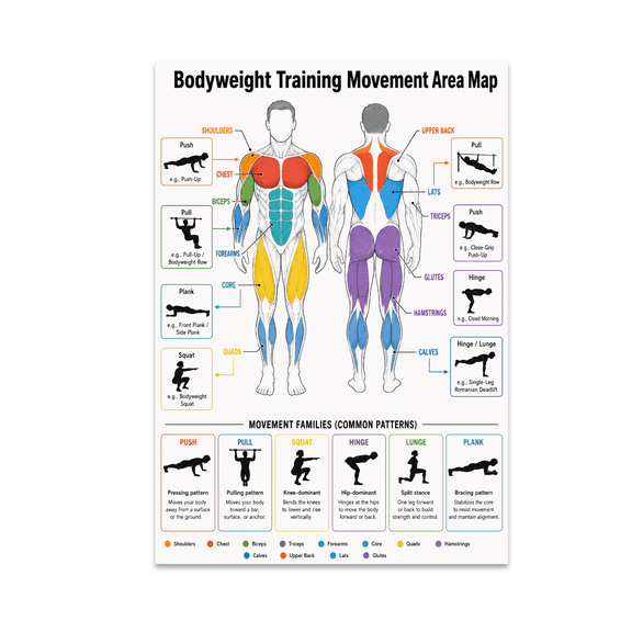 Bodyweight Training Movement Area Map Poster, Home Exercisers and Fitness Classrooms, 13x19 Glossy Paper