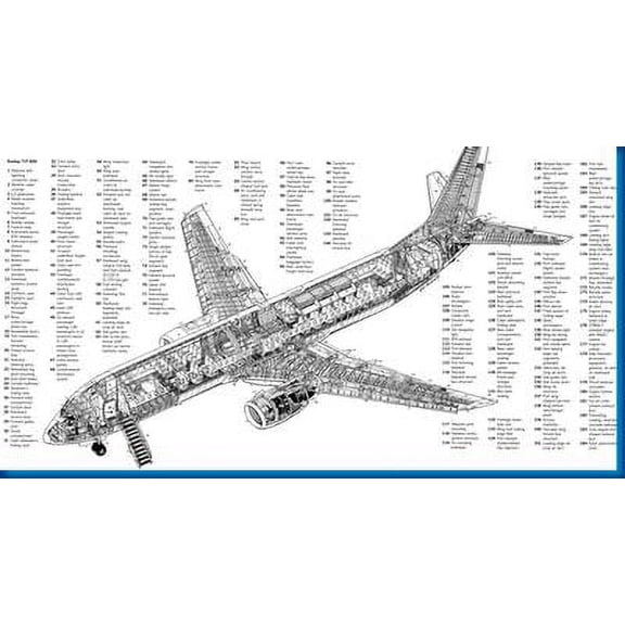 Boeing 737 Cutaway Military Aircraft Poster 24x36 Multi-Color Square Adults Best Posters