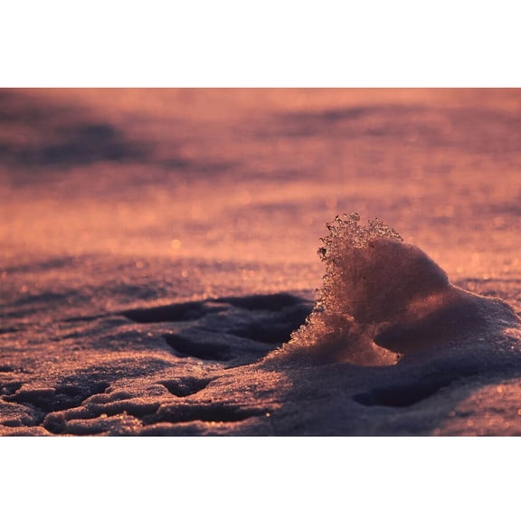 Boer "Ice Wave" Wall Decal