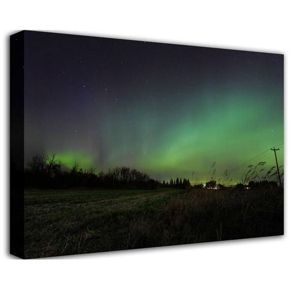 Boer "Northern Lights" Canvas Print