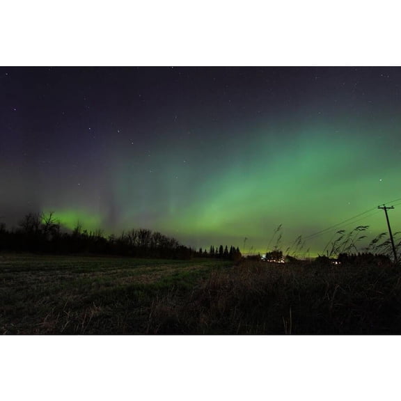 Boer "Northern Lights" Wall Decal