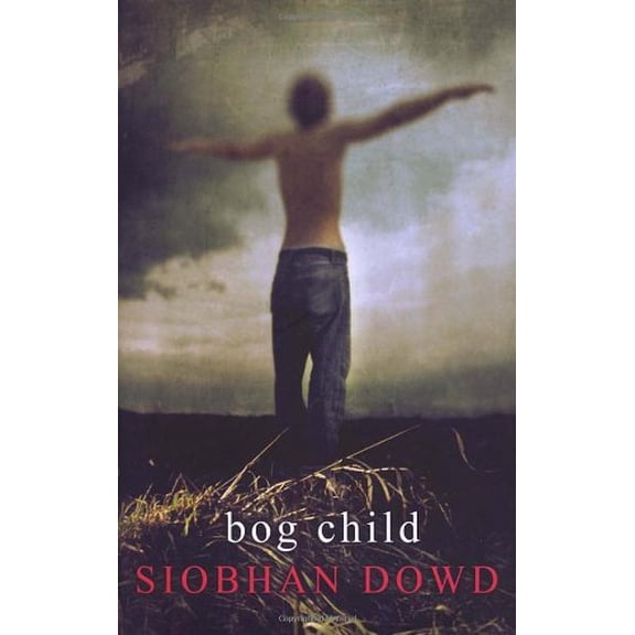 Pre-Owned Bog Child (Hardcover) 9780385614269