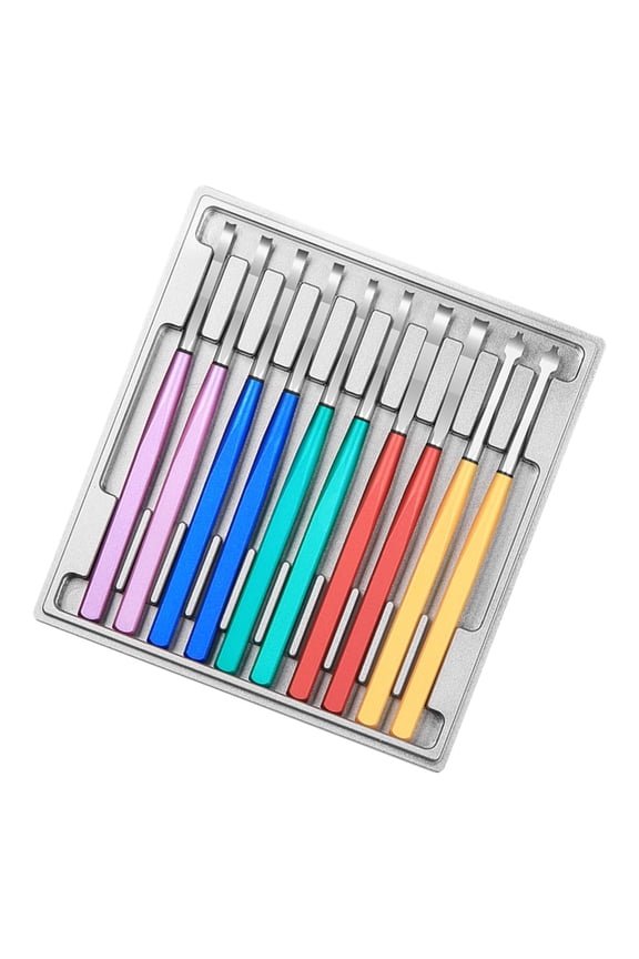Heavy Duty Watch Repair Tool Set 10 Anti Bend Alloy Lifters With Shatterproof Acrylic Case Suitable For Professional Use