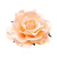 thumbnail image 1 of Bohemian Flower Hair for Girls Rose Rhinestone Barrettes Beach Wedding Accessories for Kids Children Everyday Use, Gold, 1 of 2