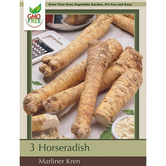 Bohemian Marliner Kren Horseradish - Hardy Perennial - Bareroot 3 Crowns