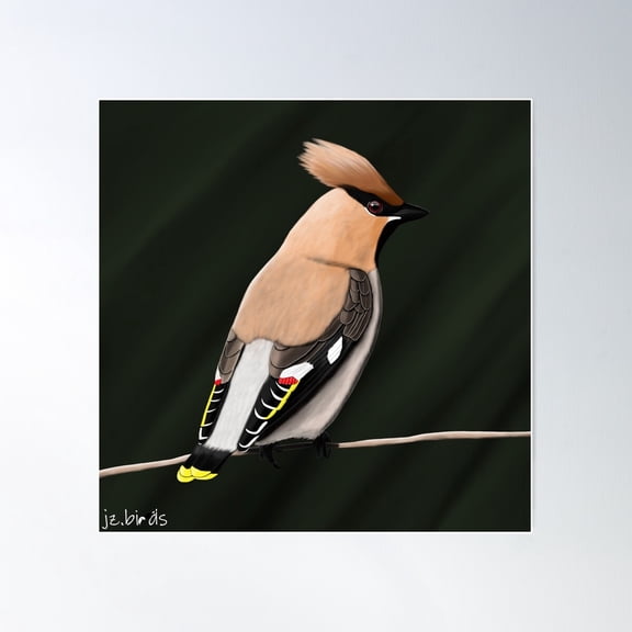 Bohemian Waxwing Drawing Bird Art Poster Wall Art, Modern Wall Decor For Living Room Bedroom, 8x12 UNFRAMED
