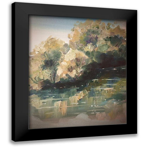 Boho Hue Studio 12x14 Black Modern Framed Museum Art Print Titled - Landscape River Close-Up