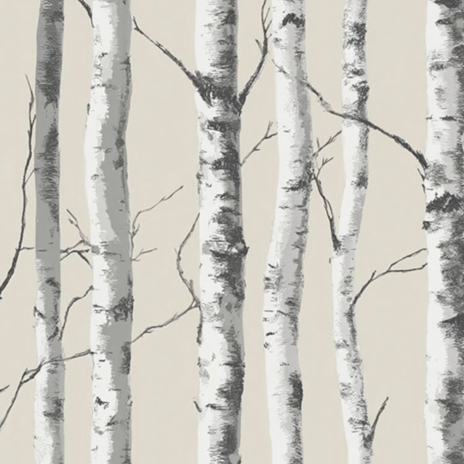 Boho Peel and Stick Wallpaper Birch Tree Forest Black White Wall Mural ...