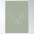 thumbnail image 1 of Boho Sage Green, Decor, Line Art, Botanical Leaves Poster Wall Art, Modern Wall Decor For Living Room Bedroom, 8x12 UNFRAMED, 1 of 3