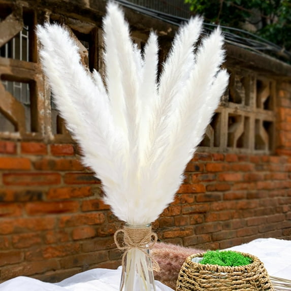 Boho Style Decorative Bouquet 50-Piece Dried Flower Set Natural Pampa Dried Flower Bouquet Wedding Party Decoration Home Decoration Dried Flowers White 40*3*3cm Small Reed