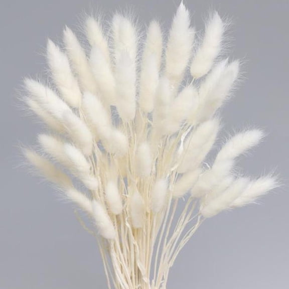 Boho Style Decorative Bouquet 50-Piece Dried Flower Set Natural Pampa Dried Flower Bouquet Wedding Party Decoration Home Decoration Dried Flowers White 38*3*3cm Hare Tail
