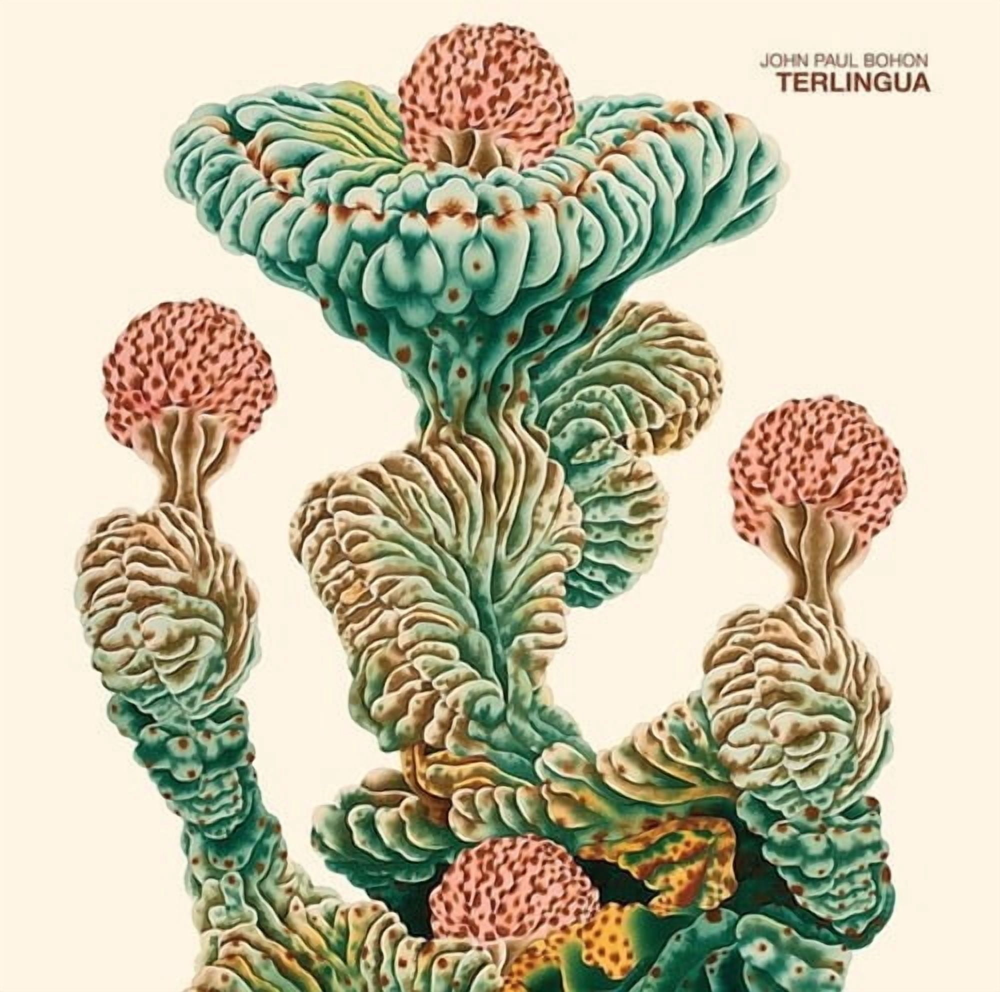Bohon,John Paul - Terlingua - Music & Performance - Vinyl