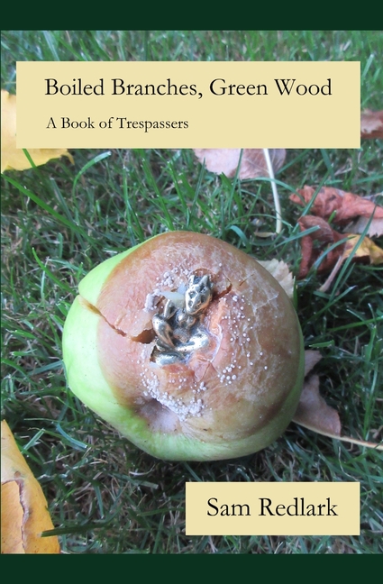 Boiled Branches, Green Wood: A Book of Trespassers, (Paperback)
