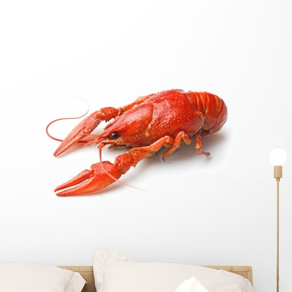 Boiled Crawfish Wall Decal by Wallmonkeys Peel and Stick Graphic (24 in W x 16 in H) WM61004