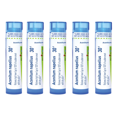 thumbnail image 1 of Boiron Aconitum Napellus 30C, Homeopathic Medicine for High Fever (Up To 102F) Of Sudden Onset With Dry Skin, 80 Pellets (5 Pack), 1 of 10