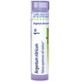 thumbnail image 1 of Boiron Argentum Nitricum 1M, Homeopathic Medicine for Apprehension With Heartburn, 80 Pellets, 1 of 12