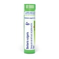 thumbnail image 1 of Boiron Berberis Vulgaris 6X, Homeopathic Medicine for Skin Rash With Round, Red Patches And Thin Flakes, 80 Pellets, 1 of 10
