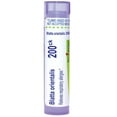 thumbnail image 1 of Boiron Blatta Orientalis 200CK, Homeopathic Medicine for Respiratory Allergies, 80 Pellets, 1 of 12