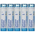 thumbnail image 1 of Boiron Calcarea Fluorica 6C (Pack of 5), Homeopathic Medicine for Sprains, 1 of 6