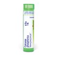 thumbnail image 1 of Boiron Calcarea Phosphorica 12X, Homeopathic Medicine for Growing Bone Pain, 80 Pellets, 1 of 11