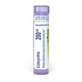 thumbnail image 1 of Boiron Colocynthis 200CK, Homeopathic Medicine for Abdominal Cramps Improved By Bending Over, 80 Pellets, 1 of 11