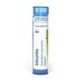 thumbnail image 1 of Boiron Colocynthis 9C, Homeopathic Medicine for Abdominal Cramps Improved By Bending Over, 80 Pellets, 1 of 11