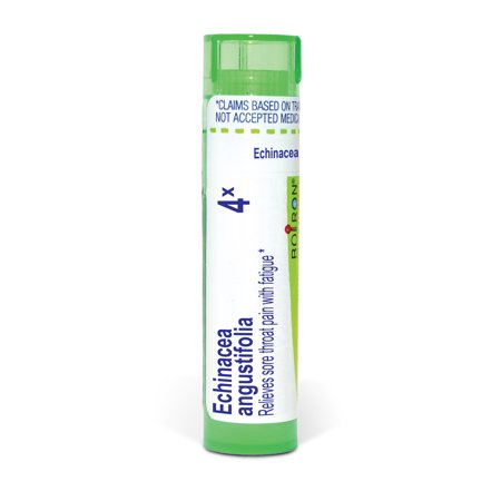 Boiron Echinacea Angustifolia 4X, Homeopathic Medicine for Sore Throat Pain With Fatigue, 80 Pellets