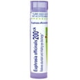 thumbnail image 1 of Boiron Euphrasia Officinalis 200CK Homeopathic Single Medicine For Allergy 80 Pellet, 1 of 12
