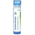 thumbnail image 1 of Boiron Gratiola Officinalis 30C, Homeopathic Medicine for Diarrhea Triggered By Cold Drinks, 80 Pellets, 1 of 10