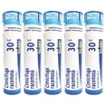 thumbnail image 1 of Boiron Homeopathic Medicine Cimicifuga Racemosa, 30C Pellets, 80-Count Tubes (Pack of 5), 1 of 4