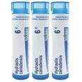 thumbnail image 1 of Boiron Hydrastis Canadensis 6C, Homeopathic Medicine for Post-Nasal Drip, 3 Count (3 x 80 Pellets), 1 of 9