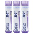 thumbnail image 1 of Boiron Hypericum Perforatum 200CK, Homeopathic Medicine for Nerve Pain, 3 Count (3 x 80 Pellets), 1 of 8