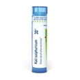 thumbnail image 1 of Boiron Kali Sulphuricum 30C, Homeopathic Medicine for Colds With Yellow Nasal Discharge, 80 Pellets, 1 of 11