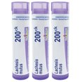 thumbnail image 2 of Boiron Spigelia Anthelmia 200Ck - Homeopathic Sinus Relief Pellets 80 Count 2 of 9