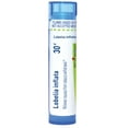 thumbnail image 1 of Boiron Lobelia Inflata 30C, Homeopathic Medicine for Nausea From Tobacco Withdrawal, 80 Pellets, 1 of 12