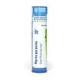 thumbnail image 1 of Boiron Murex Purpurea 30C, Homeopathic Medicine for Pms With Mood Changes, 80 Pellets, 1 of 11