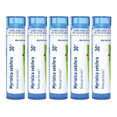 thumbnail image 1 of Boiron Myristica Sebifera 30C, Homeopathic Medicine for Pain From Boils, 80 Pellets (5 Pack), 1 of 2