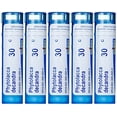 thumbnail image 1 of Boiron Phytolacca Decandra 30C (Pack of 5), Homeopathic Medicine for Sore Throat, 1 of 6