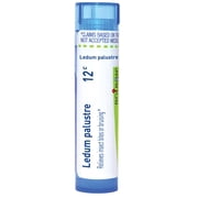 Boiron Ledum Palustre 12C, Homeopathic Medicine for Insect Bites or Bruising Relief, 80 Pellets