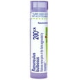 thumbnail image 1 of Boiron Ranunculus Bulbosus 200CK Homeopathic Single Medicine For Pain 80 Pellet, 1 of 13