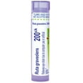 thumbnail image 1 of Boiron Ruta Graveolens 200CK, Homeopathic Medicine for Eye Strain Due To Computer Use Or Artificial Lights, 80 Pellets, 1 of 11